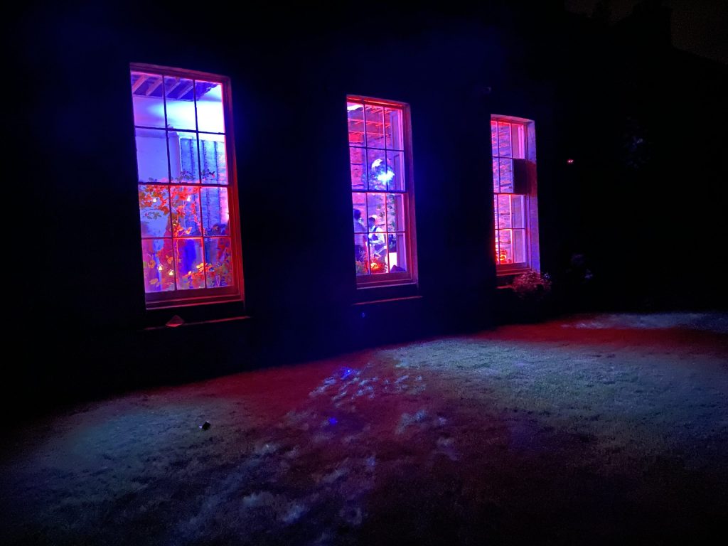 Private parties at Enys