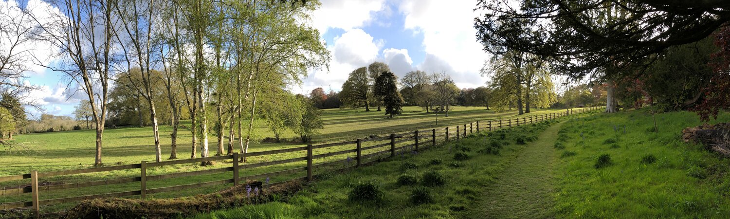The Lawn Fields in late afternoon sun