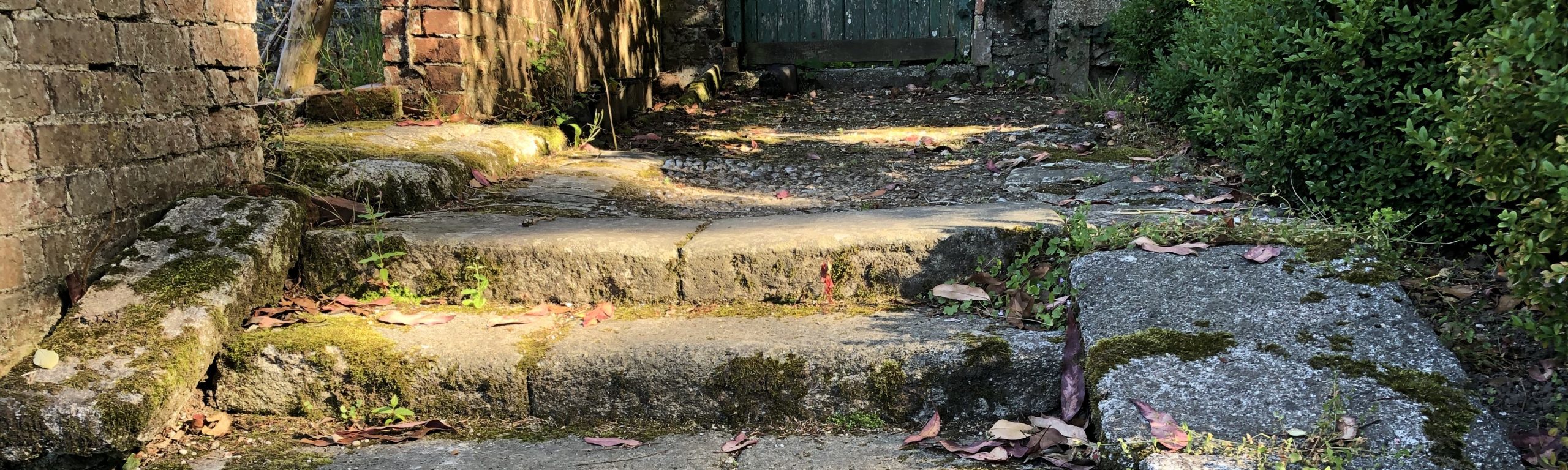 Steps in the Flower Garden, Enys